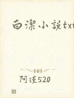 白洁小说txt