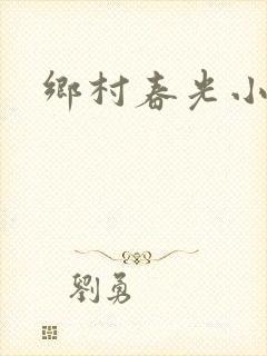 乡村春光小说封面