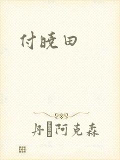 付晓田