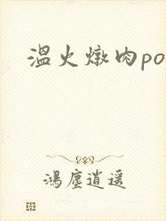 温火炖肉pop