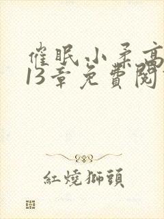 催眠小柔高达第13章免费阅读