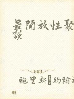 最开放性聚会小说