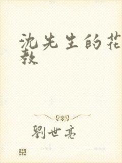 沈先生的花式管教