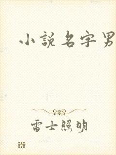 小说名字男生