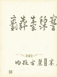 宋先生的宠妻计划轩家沐言封面