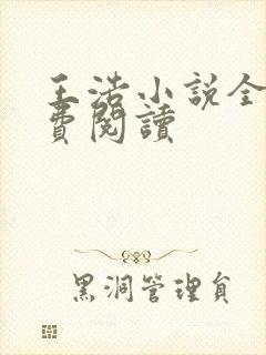 王浩小说全文免费阅读封面