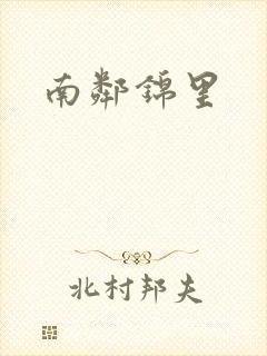 南邻锦里封面