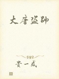 大唐盗帅