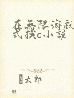 在无限游戏里花式挨c小说封面