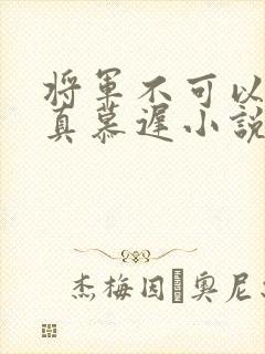 将军不可以魏云真慕迟小说笔趣阁封面