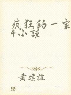 疯狂的一家ps4小说封面