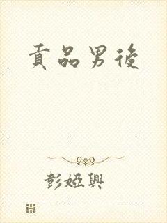 贡品男后