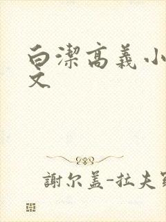 白洁高义小说全文