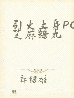 引火上身POP芝麻糖丸封面