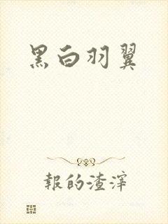 黑白羽翼