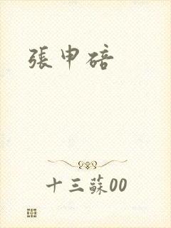 张申碚