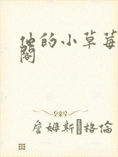 他的小草莓笔趣阁