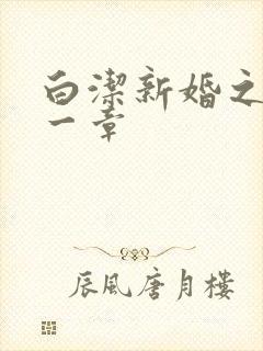 白洁新婚之夜第一章