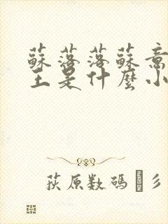 苏落落苏意瑶睿王是什么小说封面