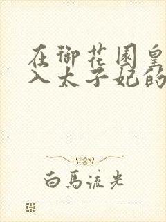 在御花园皇上进入太子妃的小说