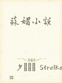苏媚小说