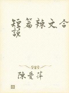 短篇辣文合集小说