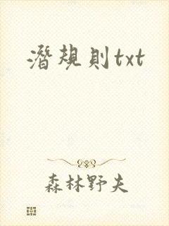 潜规则txt