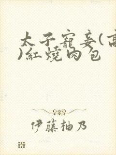 太子宠妾(高肉)红烧肉包