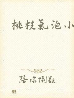 桃枝气泡小说封面