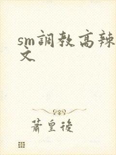 sm调教高辣h文