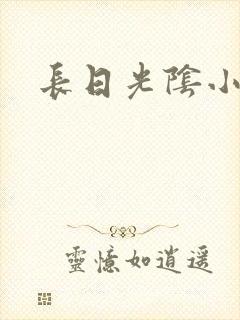 长日光阴小说封面