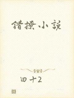 错撩小说