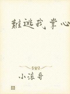 难逃我掌心封面
