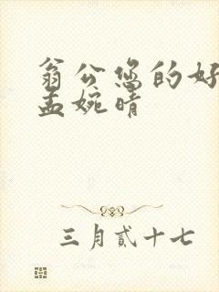 翁公您的好长呀孟婉晴封面