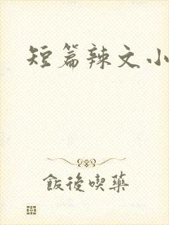 短篇辣文小说