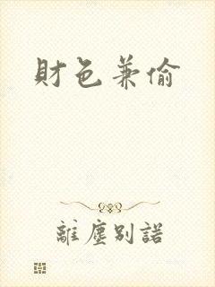 财色兼偷封面