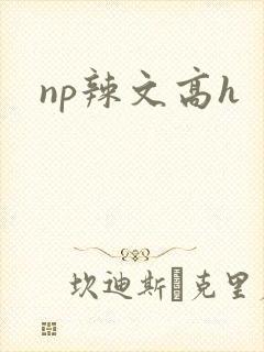 np辣文高h封面