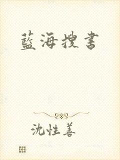 蓝海搜书封面