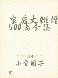 家庭大杂烩小说500篇全集