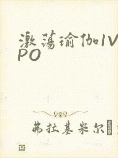 激荡瑜伽1V2PO