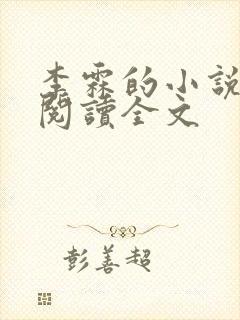 李霖的小说免费阅读全文