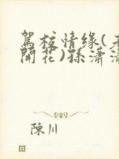 驾校情缘(老树开花)孙潇潇笔趣阁封面