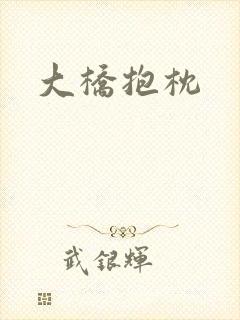 大桥抱枕