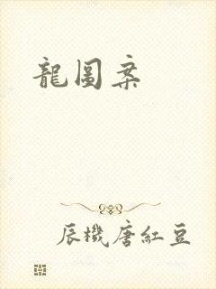 龙图案封面