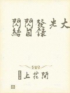 闪闪发光大团圆结目录封面