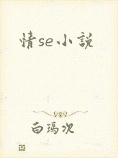 情se小说