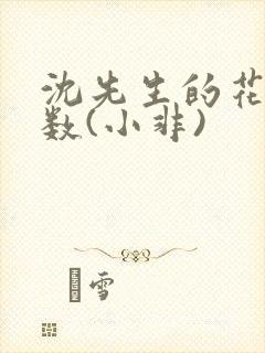 沈先生的花式调数(小非)
