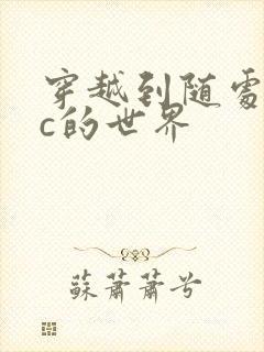 穿越到随处可以c的世界