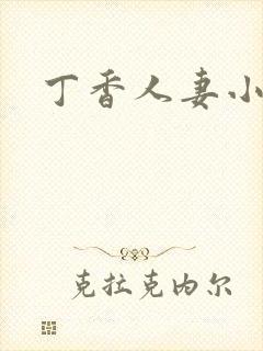 丁香人妻小说