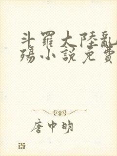 斗罗大陆乱世浮殇小说免费阅读封面